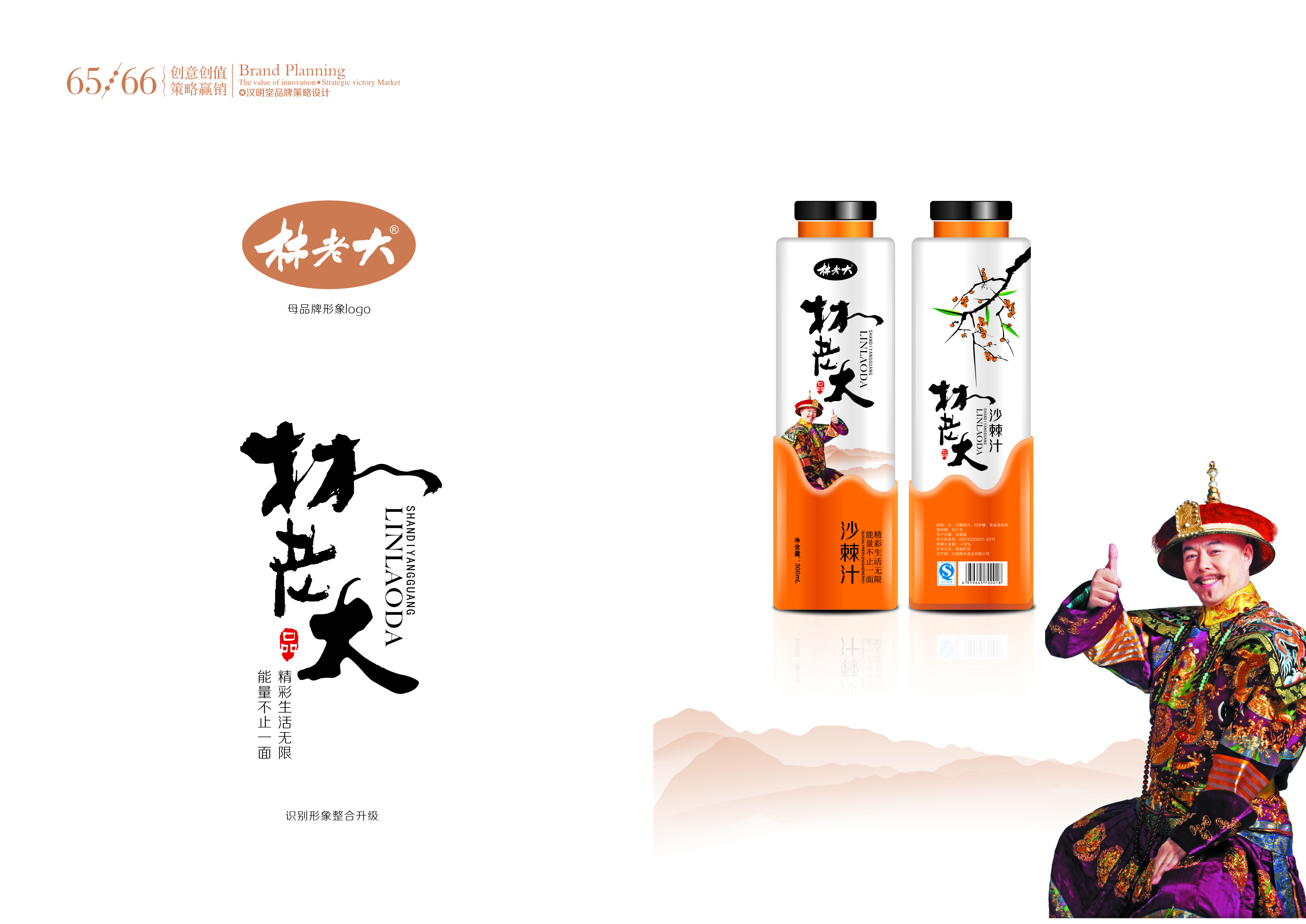 山西漢明堂品牌策劃包裝設(shè)計有限公司設(shè)計作品