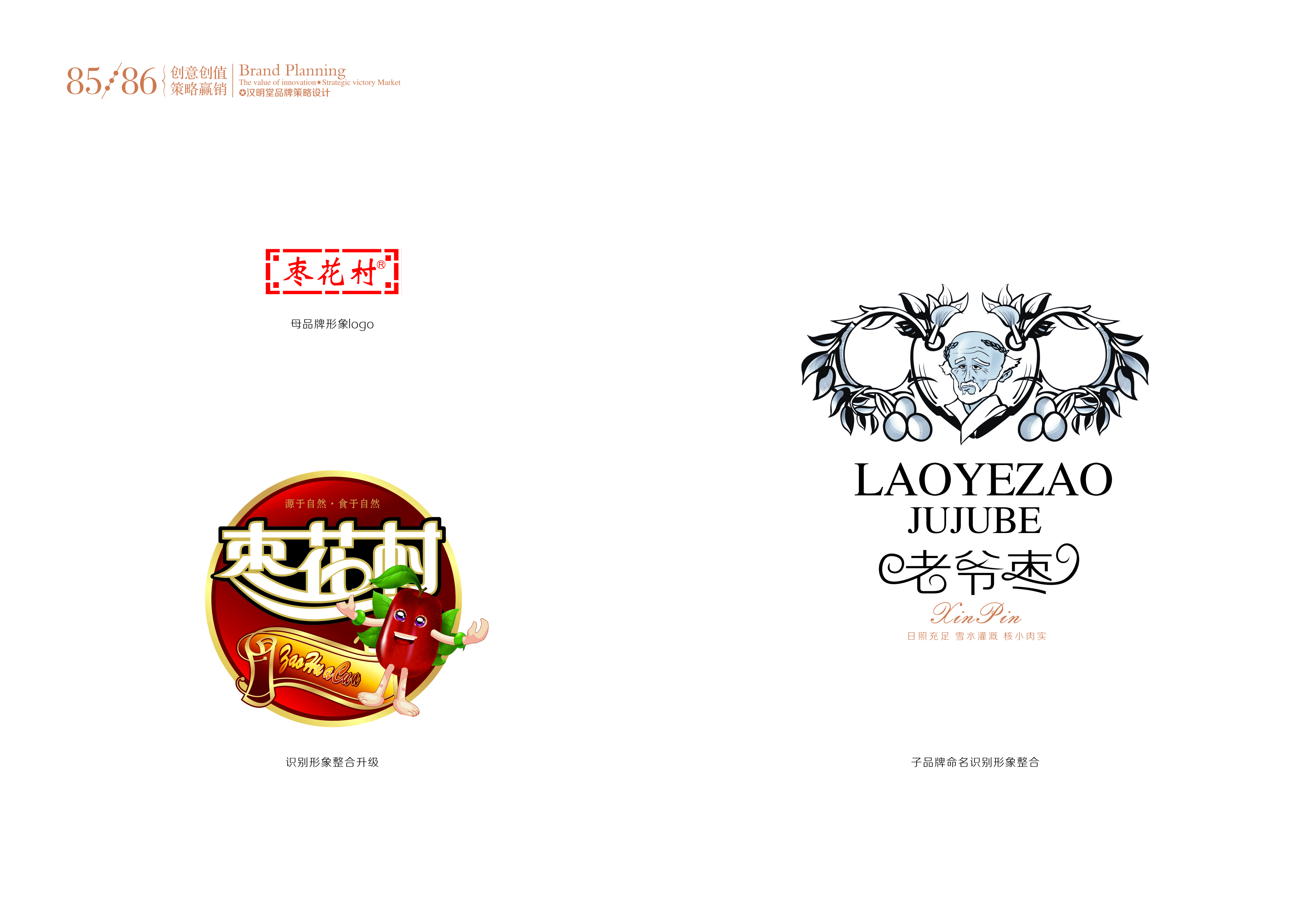 山西漢明堂品牌策劃包裝設(shè)計有限公司設(shè)計作品